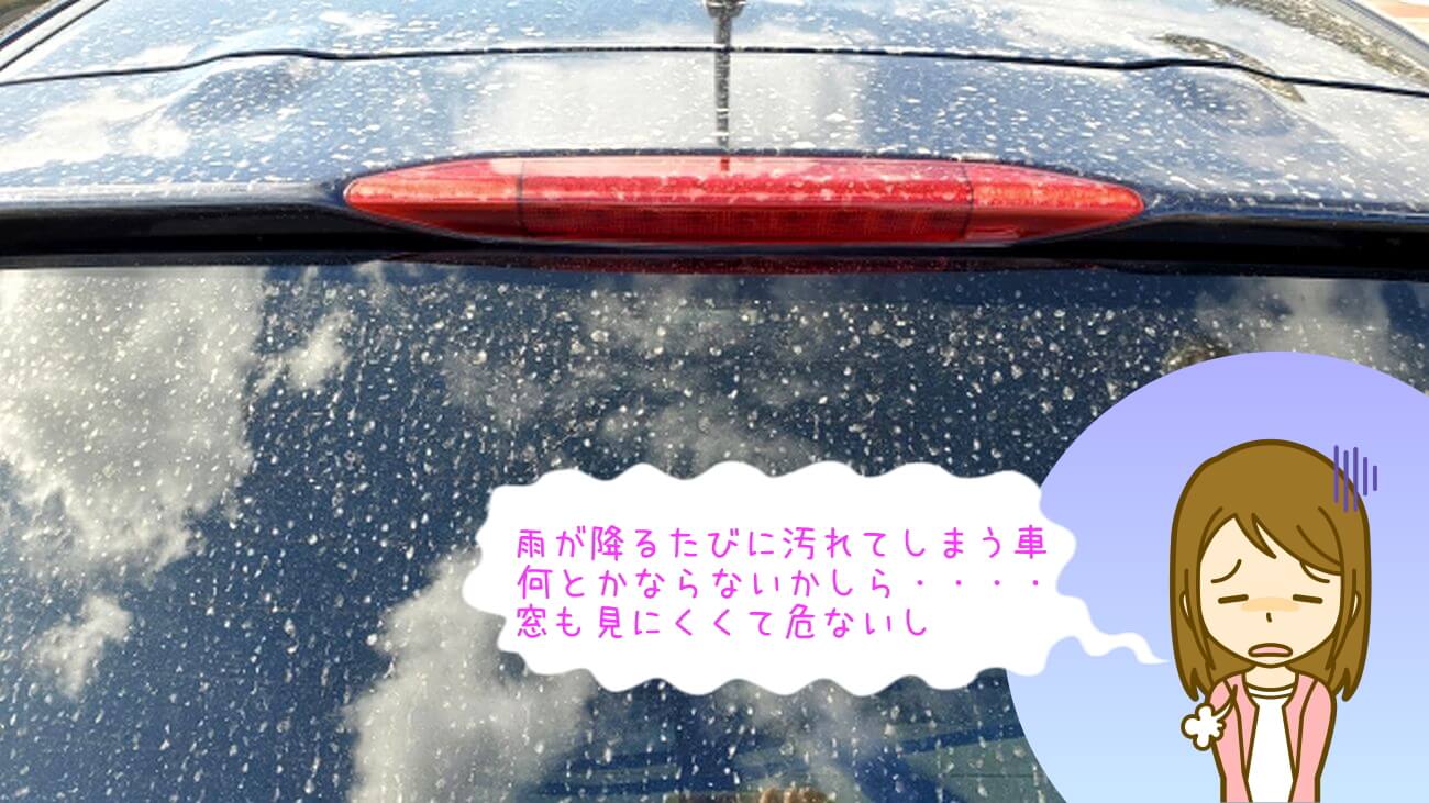 HAsu Pika Coat（蓮ピカコート） 車の汚れの悩み